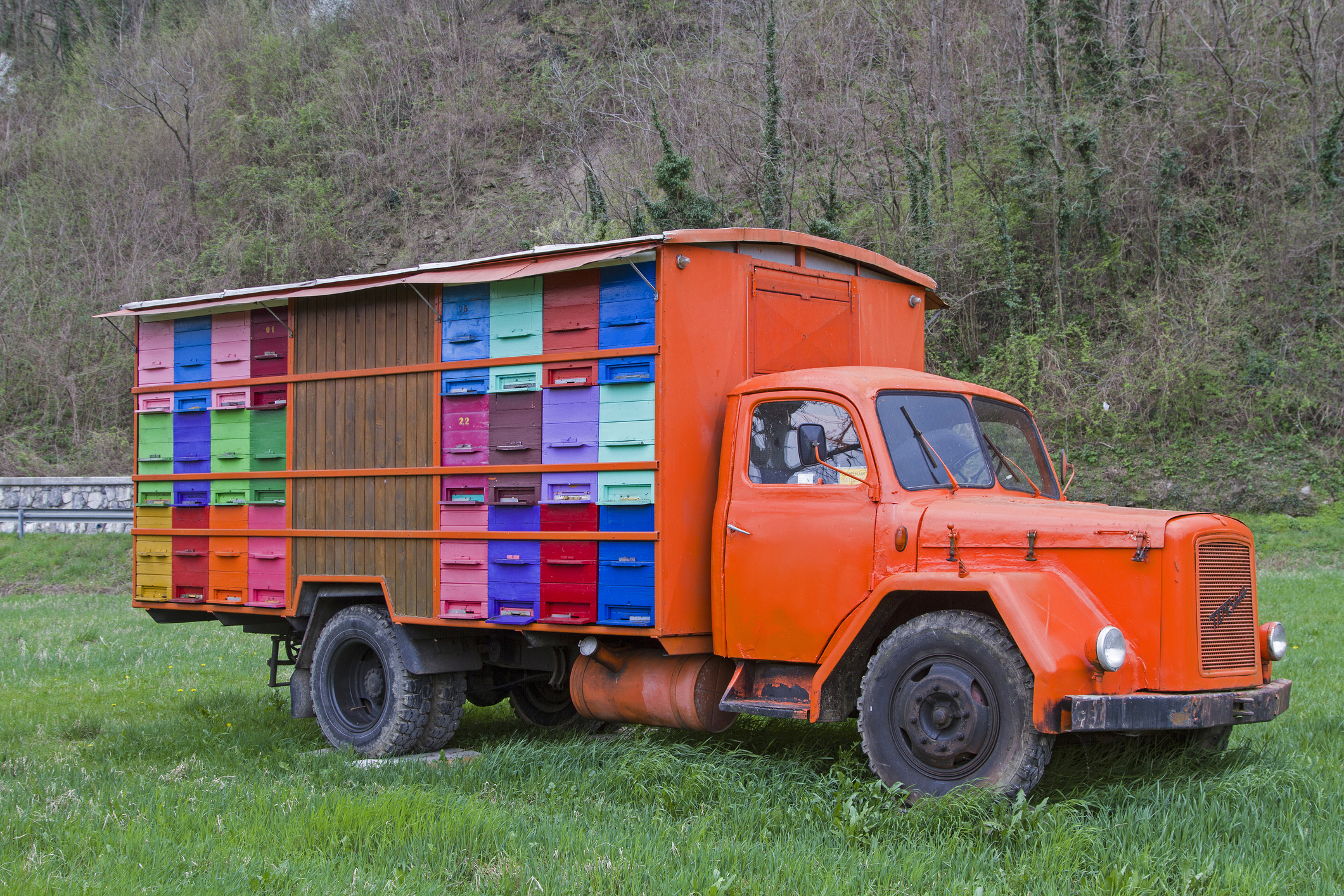 AŽ Hives Transportable