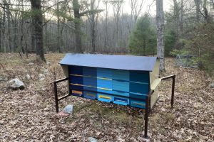 DACB2083-5422-49B9-A6BC-E39A2B5BCA79_1_105_c