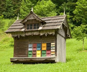 Colorful apiary (beehouse)