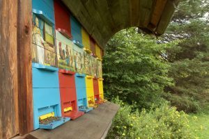 Colorful Apiary in Slovenia with flying bees